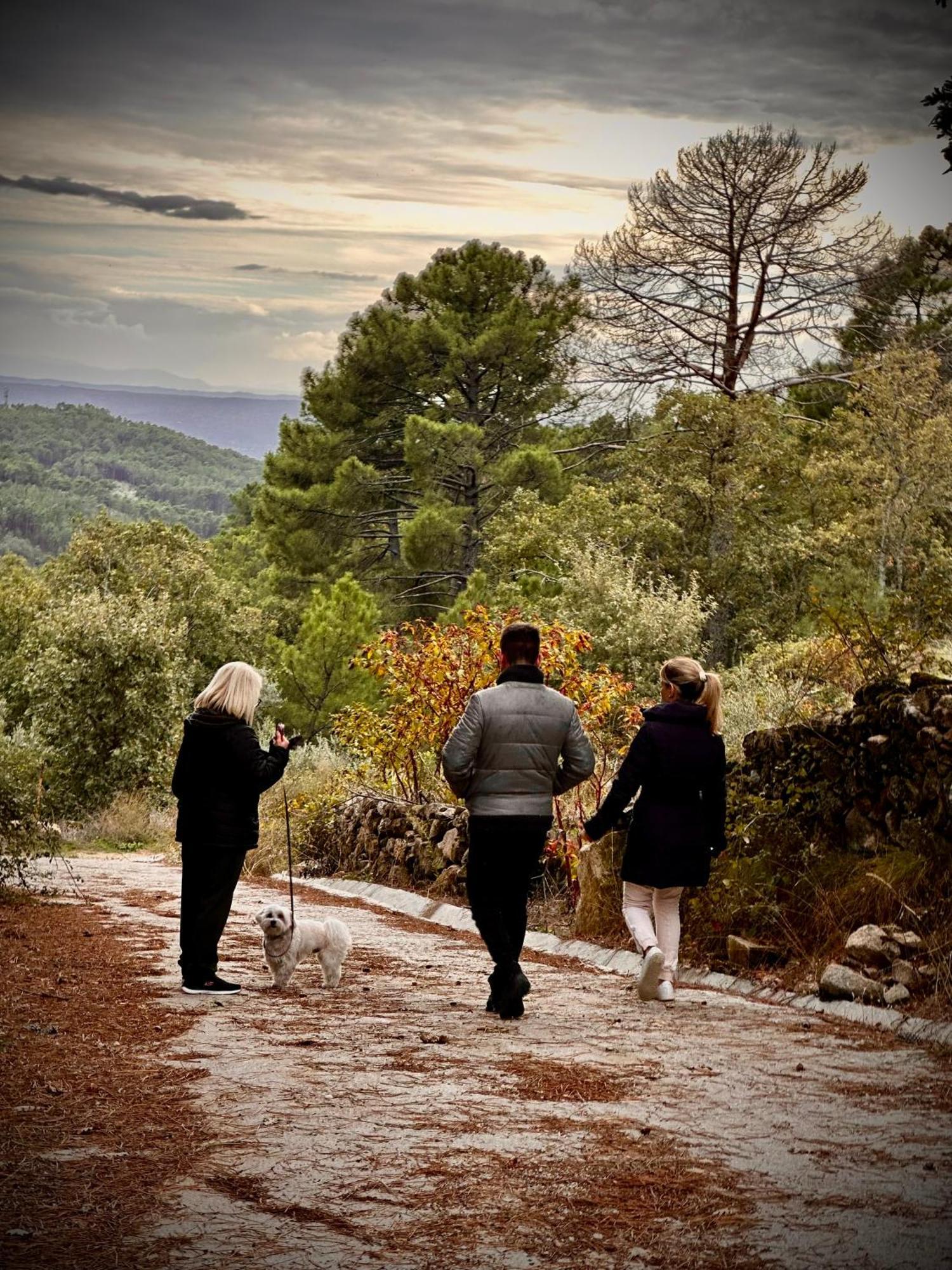 Gredos Starlight House Lejlighed Mijares  Eksteriør billede
